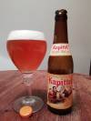 Kapittel Watou Tripel Abt 10°
